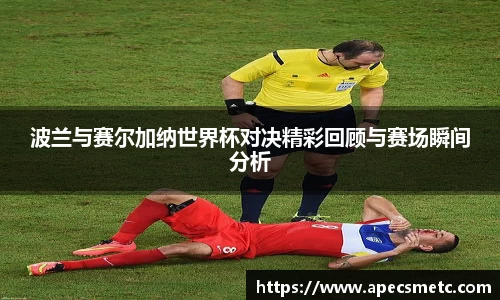 波兰与赛尔加纳世界杯对决精彩回顾与赛场瞬间分析